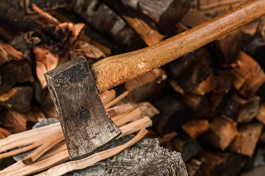 Is Sweet Gum Tree Firewood Good [Explained]