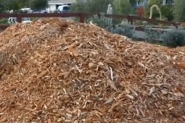 bad wood chips