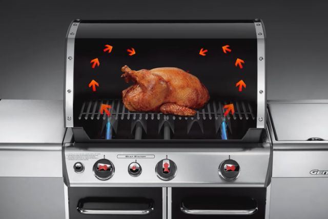 weber gas grill indirect heat cooking