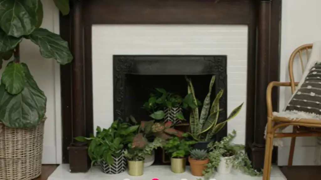 decorate with potted plants to hide fireplace