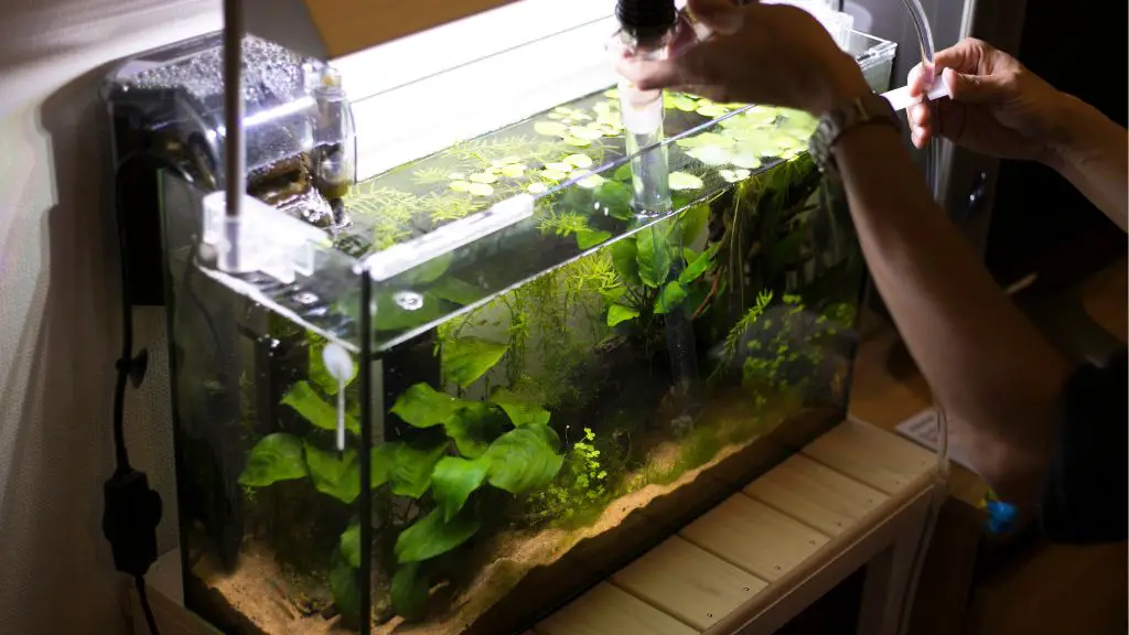 build an aquarium to cover the wall heater